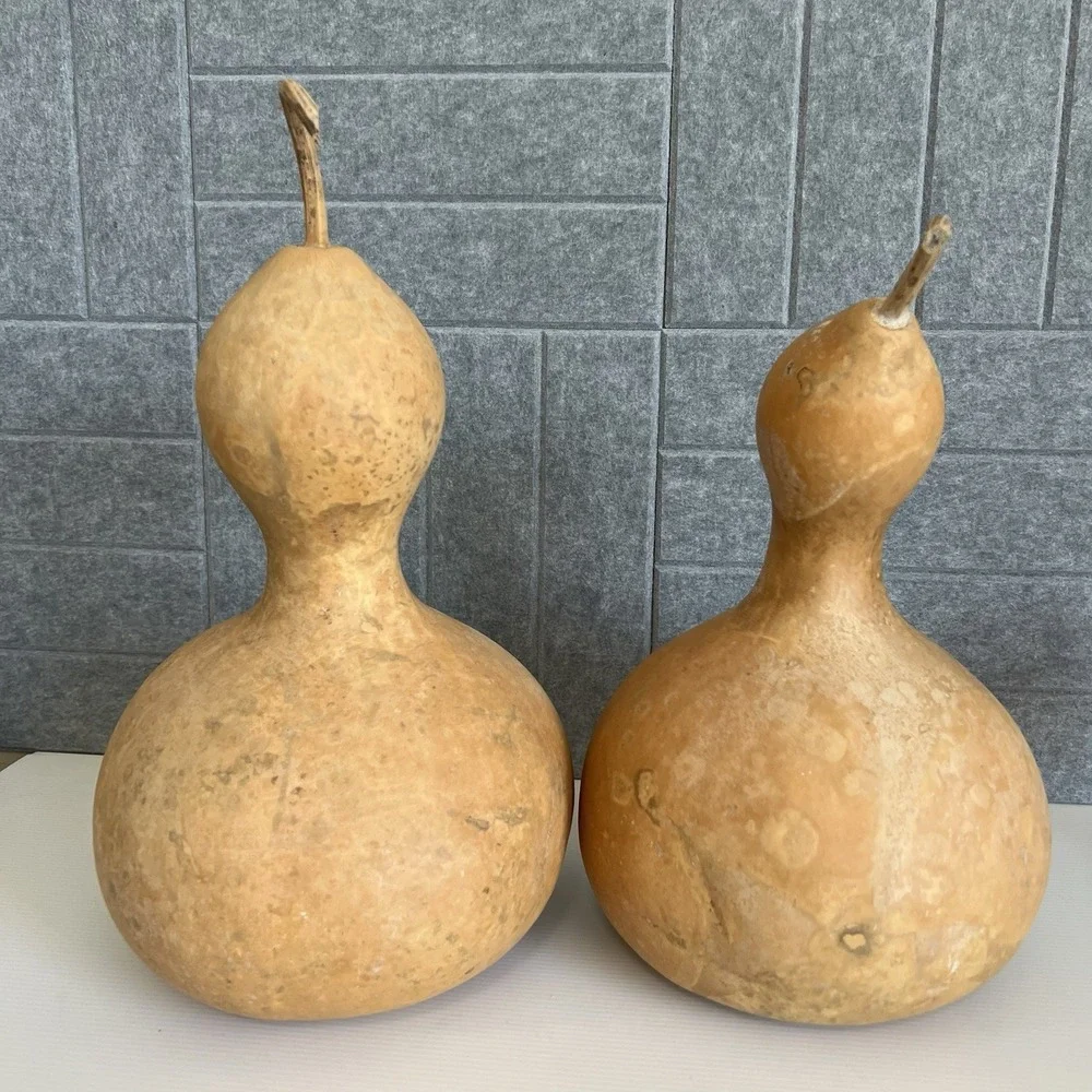 2 Natural Bottle Snowman Gourds Dried Cleaned Fall Decor Crafting